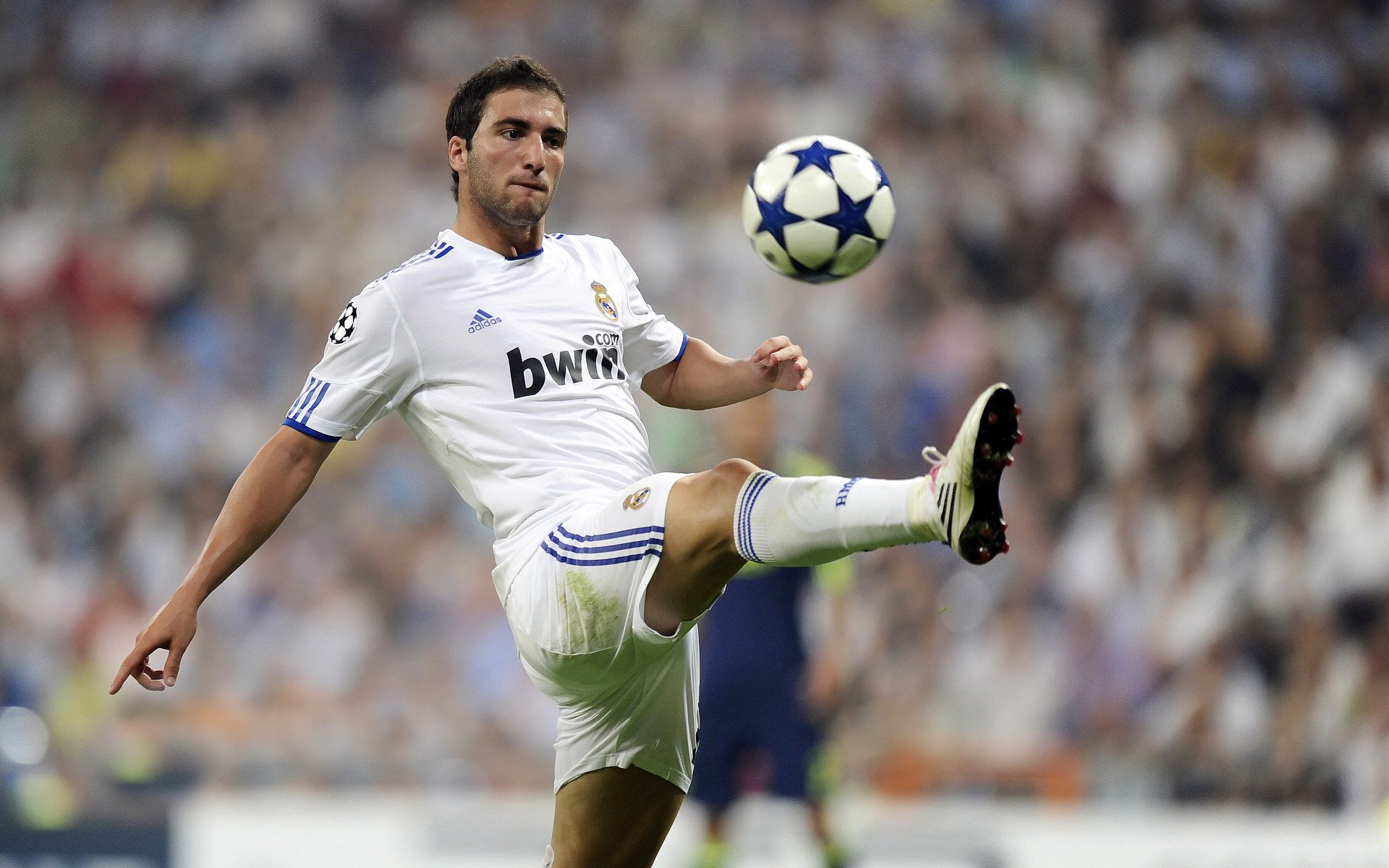 当南非击溃佛罗伦萨，NBA总决赛背后的文明暗战