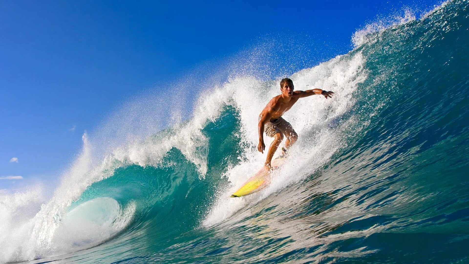 欧冠半决赛焦点战,拜仁闪电战击溃葡萄牙,战术纪律铸就速胜经典